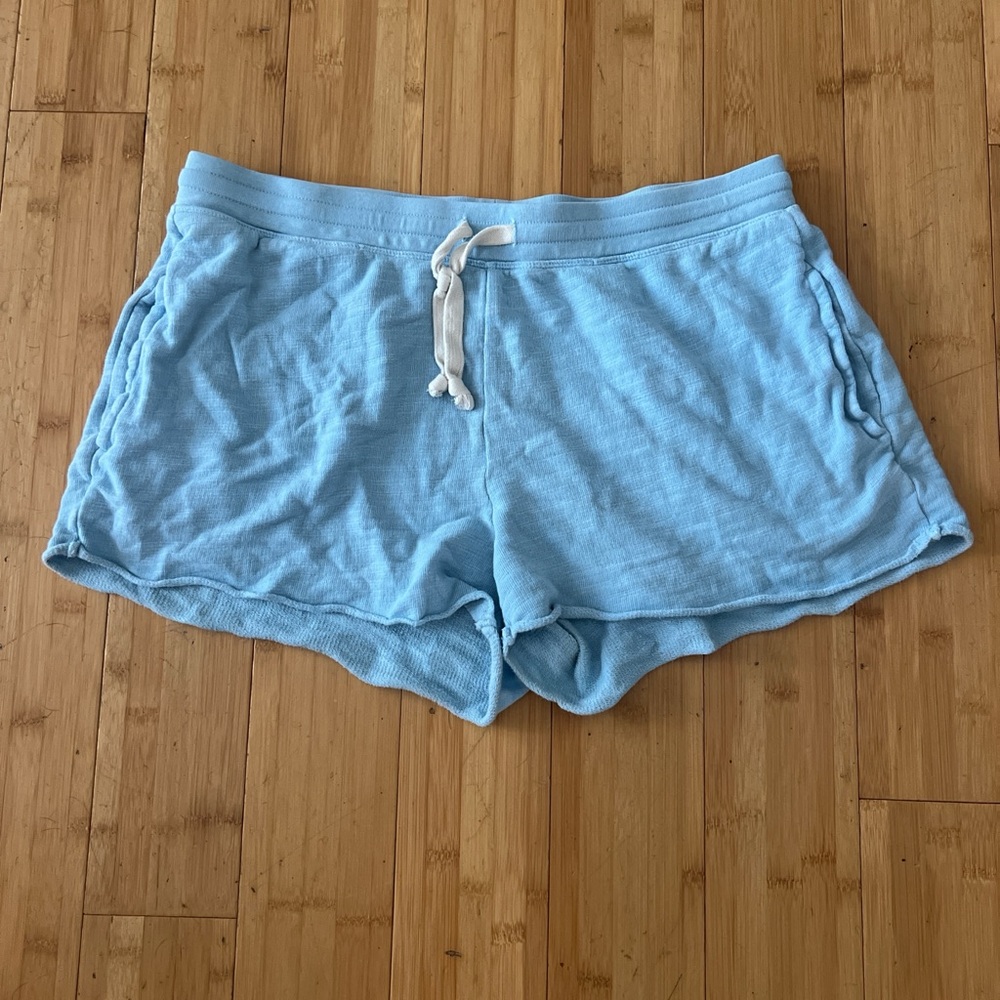 J. Crew Light Blue Women's Shorts